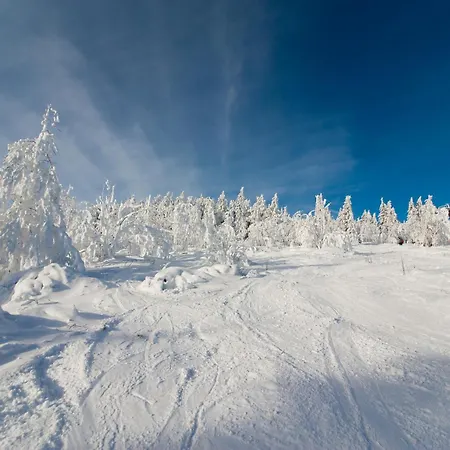Prázdninový dům Ferienhaus Oberwiesenthal