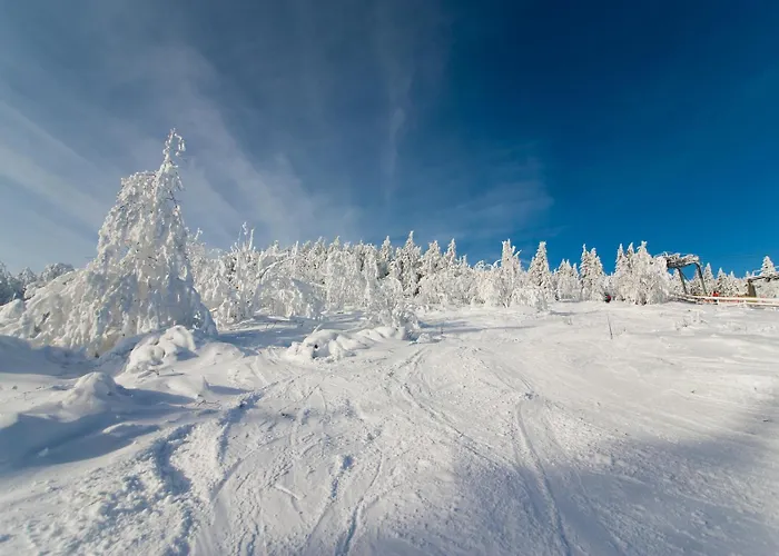 Prázdninový dům Ferienhaus Oberwiesenthal